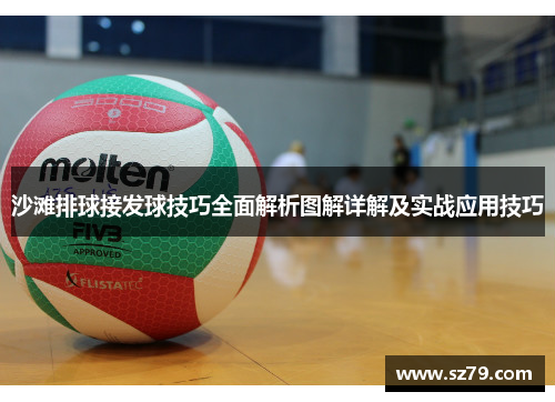 沙滩排球接发球技巧全面解析图解详解及实战应用技巧